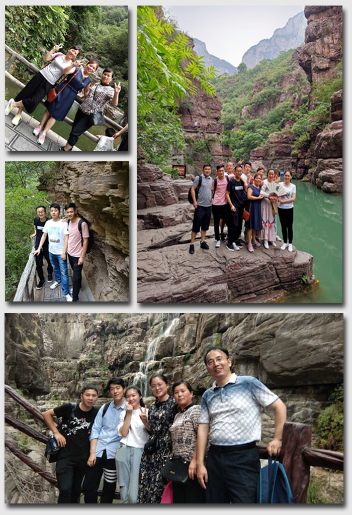 15616861138672.png m.png